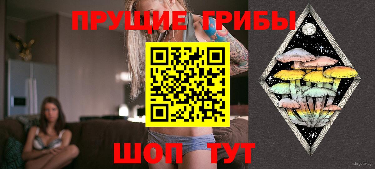 Псилоцибиновые грибы Magic Shrooms Балтийск
