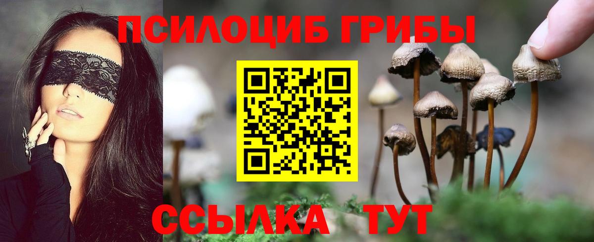 Галлюциногенные грибы мухоморы  Вход с VPN  что такое наркотик  Псилоцибиновые грибы прущие грибы  Балтийск 