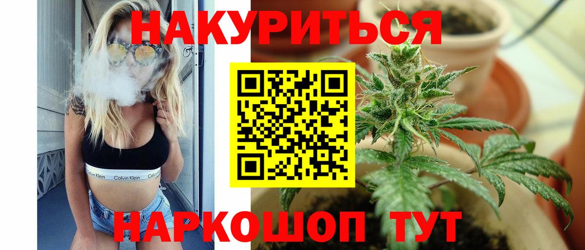 Марихуана план Балтийск