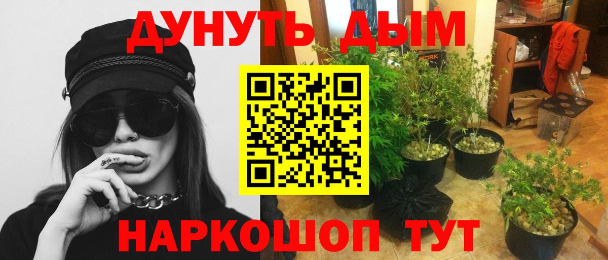 Марихуана план  МАРИХУАНА AK-47  Марихуана THC 21%  Балтийск  Вход с VPN 